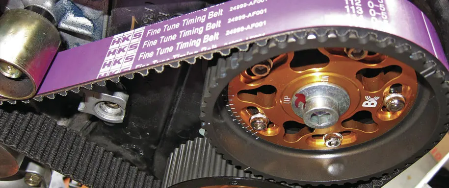 Gainesville Timing Belt by Carrsmith